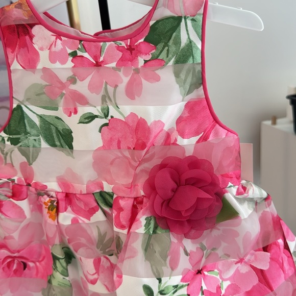 Mia & Mimi Shadow Stripe Floral Sleeveless Dress. Size 12 months. - Picture 4 of 12